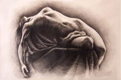2003-nude-dr-bl-wit-65x50-liggend-naakt01