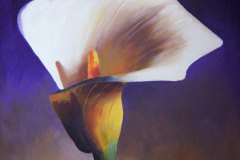 1-witte-kelkbloem-Ziad-029